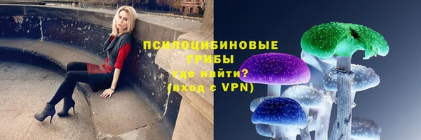 Альфа ПВП Абаза