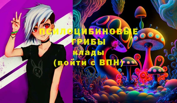 молекула духа Алексеевка