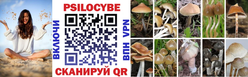 Псилоцибиновые грибы прущие грибы  цены   mega маркетплейс  Змеиногорск 